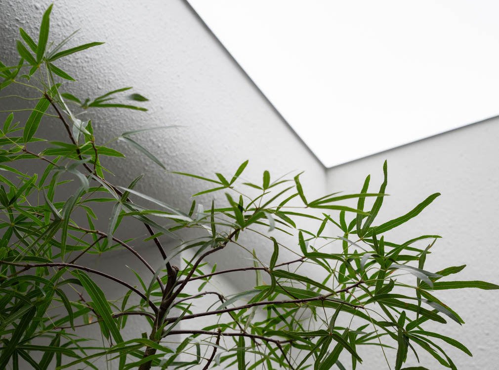 Banner Carousel 2