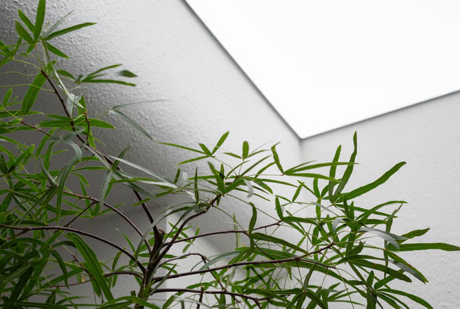 Banner Carousel 2