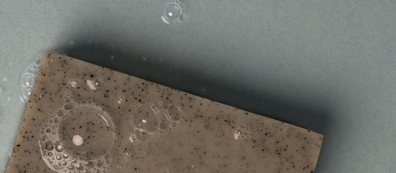 コーヒー廃棄物の再考