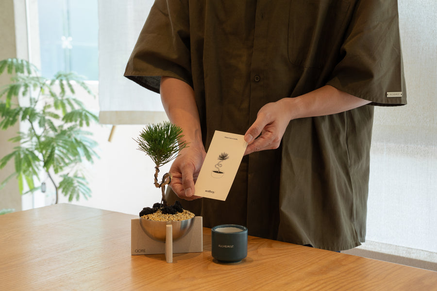 Coffee & Plant Care Workshop